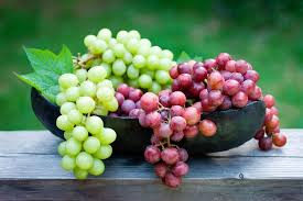 Mas Organic fresh grapes, Grade : Premium
