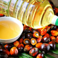 refined palm oil