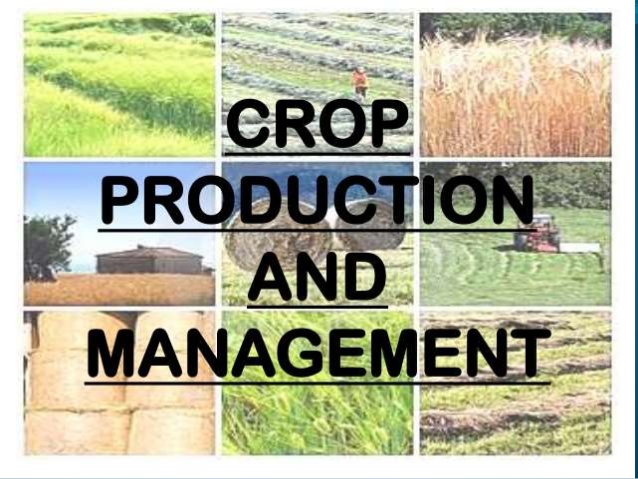 Crop Production & Management Services