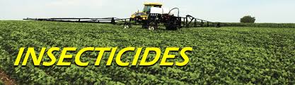 Insecticide Agro Chemical, for Agriculture, Purity : 99.95%