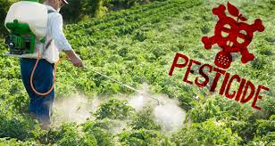 Pesticide Agro Chemical, for Agriculture, Purity : 98%