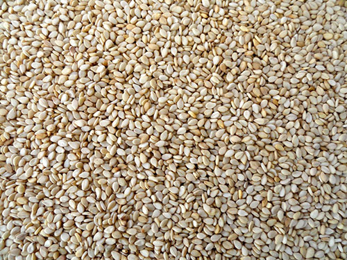 Laxmi 95/5% Natural Sesame Seeds, Color : Whitish