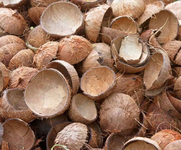 Coconut Shells, Color : Brown