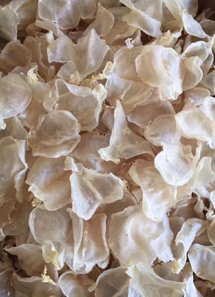 Dried Fish Maw