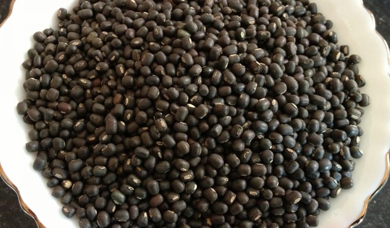 Organic Whole Black Gram, Feature : Rich In Protein
