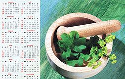 Wall Calendar