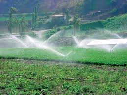 Fully Automatic Cast Iron Sprinkler Irrigation System, for Horticulture Row Crops, Length : 1000 Meters