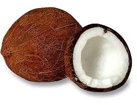 Indian Coconuts