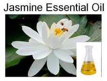 Jasmine Oil- Jasminum Grandiflorum