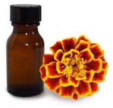 Tagetes Oil