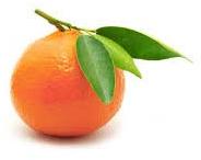 Tangerine mandarine Oil