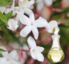 Arabian Jasmine Absolute Oil, for Aromatherapy, Medicine Use, Personal Care