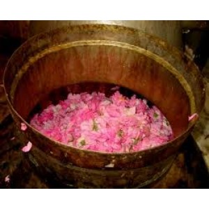 Rose Water (Grade B)