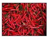 Chillies