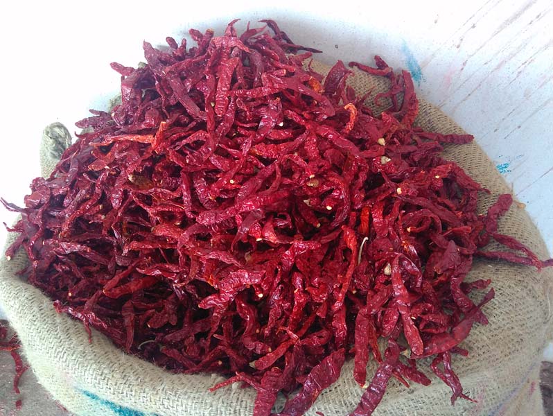 Dry Red Chilli, Variety : Teja, byadgi