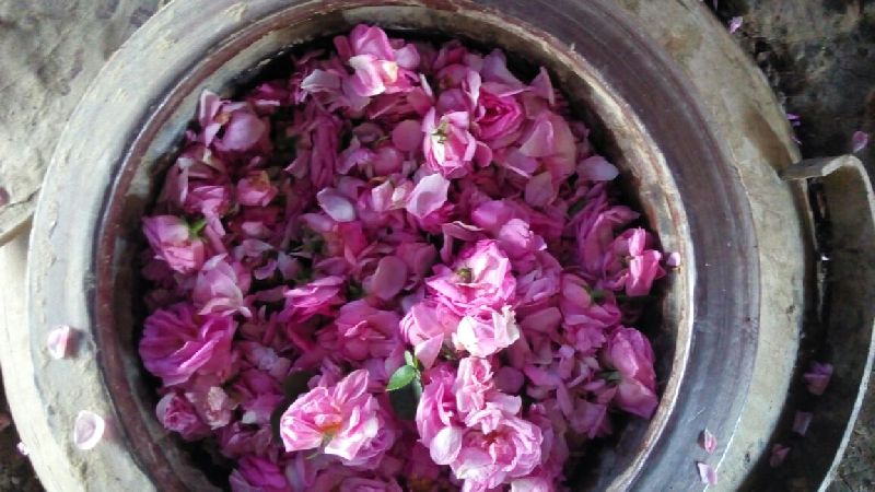 Gulqand Rose Petal Jam Gulkand