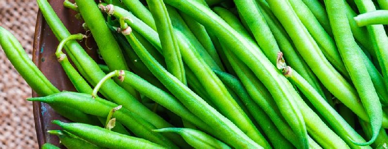 Organic fresh beans, Packaging Type : 250gms, 500gms, 1Kg, 2Kg, 5Kg