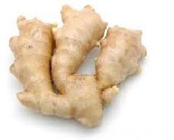 fresh ginger