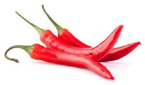 Organic Fresh Red Chilli, Feature : Makes Food Colorful Spicy