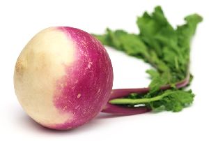 Fresh Turnip, for Curry, Salad, Stew, Soup etc., Packaging Size : 10 Kg., 20 Kg.