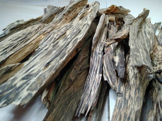 agarwood