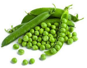 Organic Fresh Green Peas, for Pesticide Free