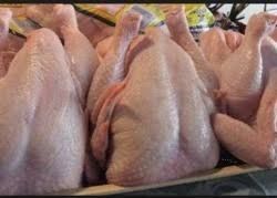 Whole Halal Frozen Chicken