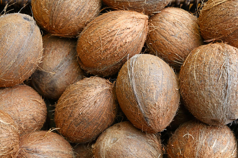 Organic Fresh Coconuts, Color : Brown
