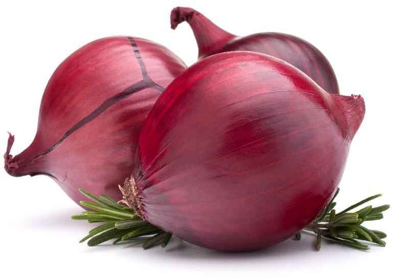 Fresh onion, Shape : 55+