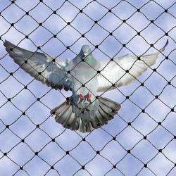 Bird Net - Pigeon Net