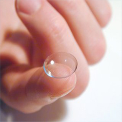 Soft Contact Lens