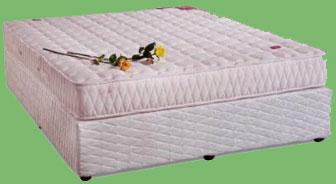 Springwel mattress