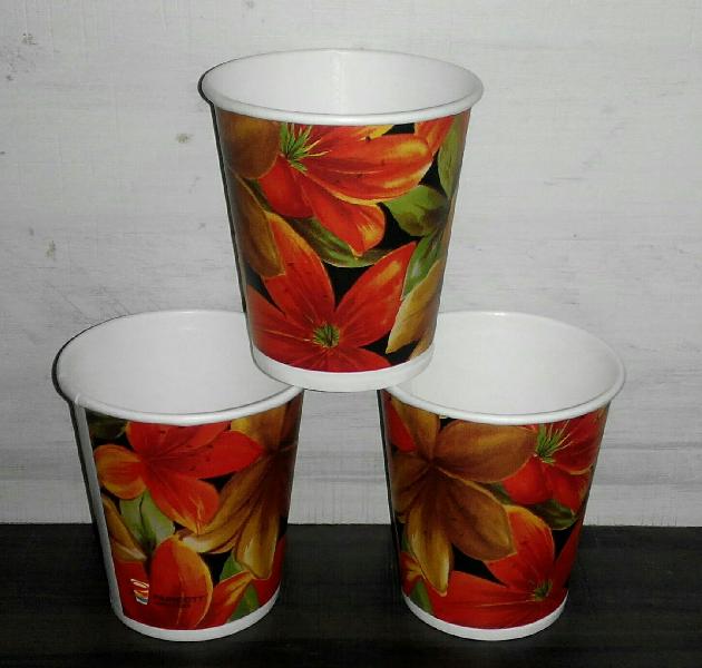 Biodegradable disposable paper cups