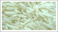 Basmati rice