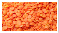 red split lentils