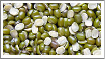 Split Green Beans
