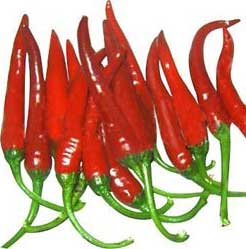 Red Chilly-01