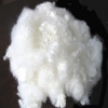 Recycled Polyester Fibres