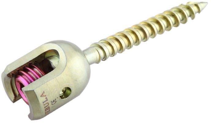 mono axial screw
