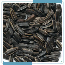 sunflower seeds