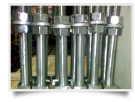 Stainless Steel Bolts