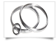 Stainless Steel Ring Joint Flanges
