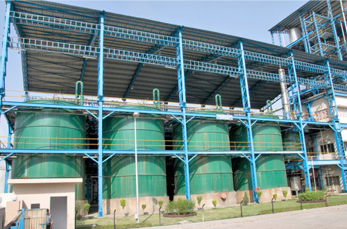 Fermentation Plant