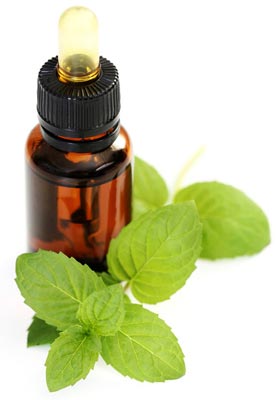 peppermint oil