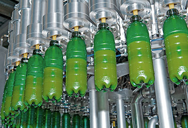 bottling lines