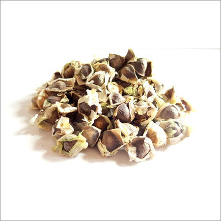 moringa seeds