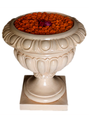 Buy Floating Flower Vase From Indu Appliances Durg India Id