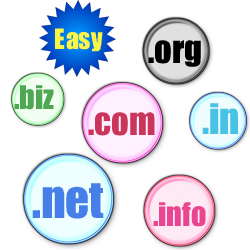 domain name registration service