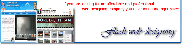 flash website designing service