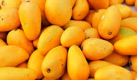 Fresh Mangoes, Packaging Type : Carton